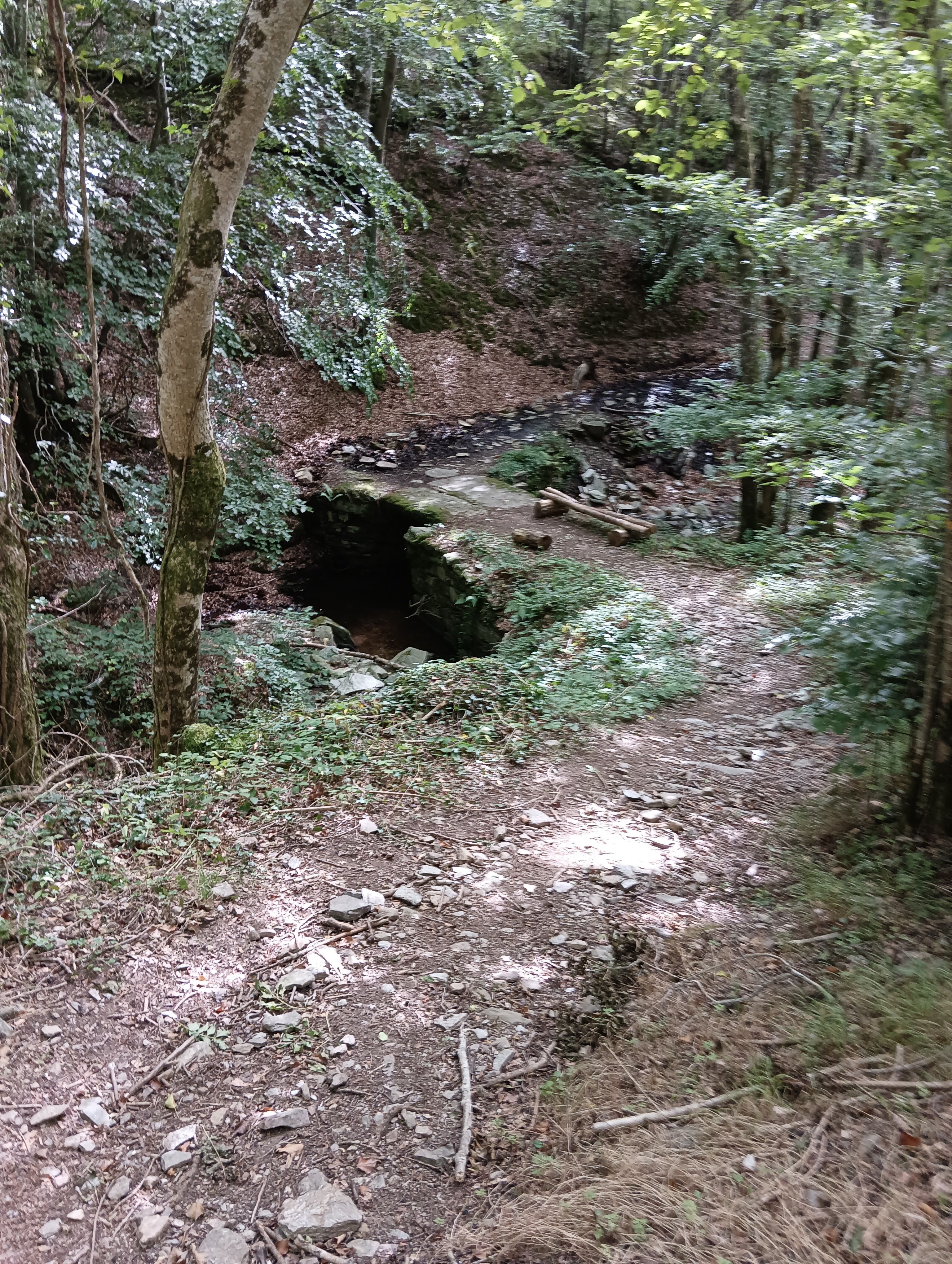 Photo n° 11 de l'avis de Bilbon.A fait le 06/09/2023 à 20:58