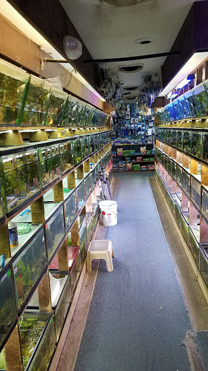 Emmons Tropical Fish & Ponds