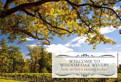 Winery «Wisdom Oak Winery», reviews and photos, 3613 Walnut Branch Ln, North Garden, VA 22959, USA