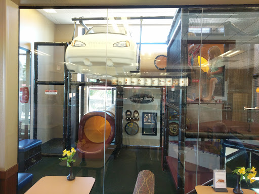 Fast Food Restaurant «Chick-fil-A», reviews and photos, 3590 River Rapids Dr, Coon Rapids, MN 55448, USA