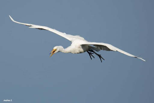  «Ocean City Welcome Center», reviews and photos, 300 W 9th St, Ocean City, NJ 08226, USA
