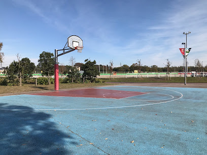 バスケットボール練習場