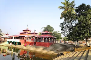 Sakhada Bhagwati Temple image