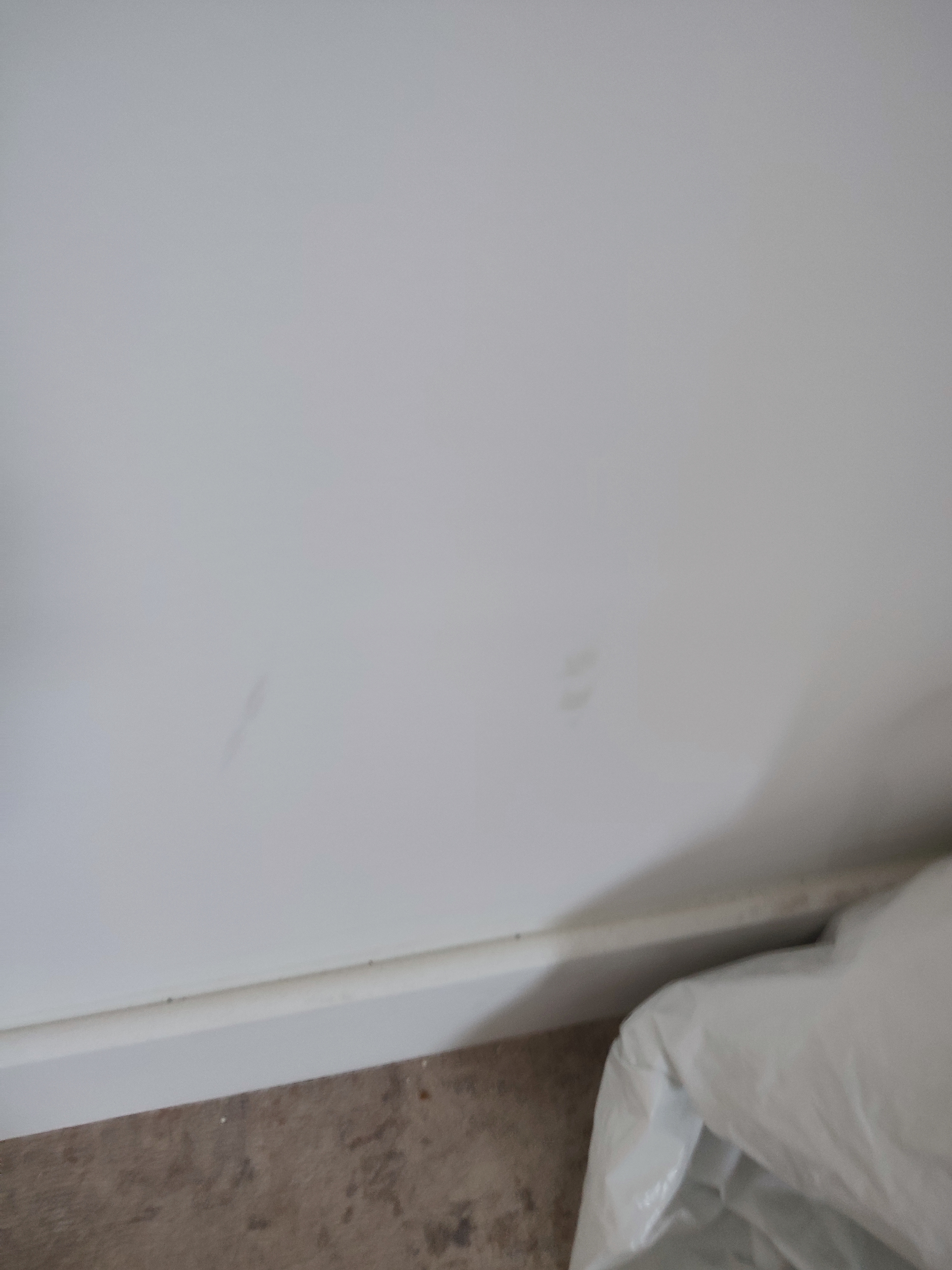 Photo n° 6 de l'avis de Guylaine.o fait le 26/12/2023 à 10:47