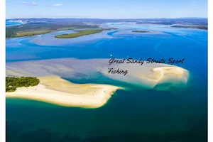 Great Sandy straits sport fishing image