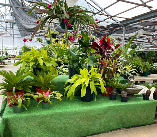 Florist «Platte Floral», reviews and photos, 1417 E Platte Ave, Colorado Springs, CO 80909, USA