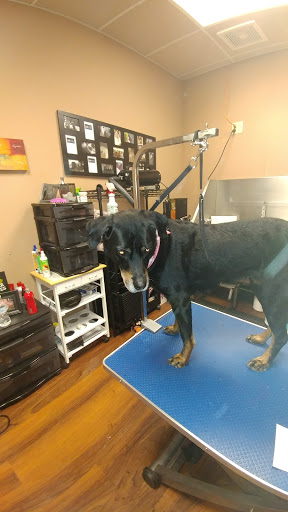 Pet Store «Pet Valu», reviews and photos, 2645 Shillington Rd, Sinking Spring, PA 19608, USA