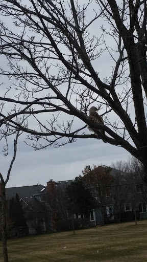 Clothing Store «Ross Dress for Less», reviews and photos, 1660 S Randall Rd, Geneva, IL 60134, USA