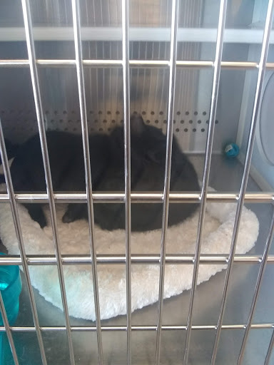 Pet Supply Store «Petsense Cleburne», reviews and photos, 1301 W Henderson St, Cleburne, TX 76033, USA