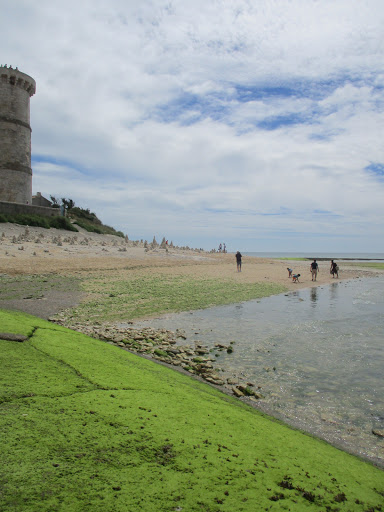 TOP GARAGE - SAS GARAGE DAVY FRERES