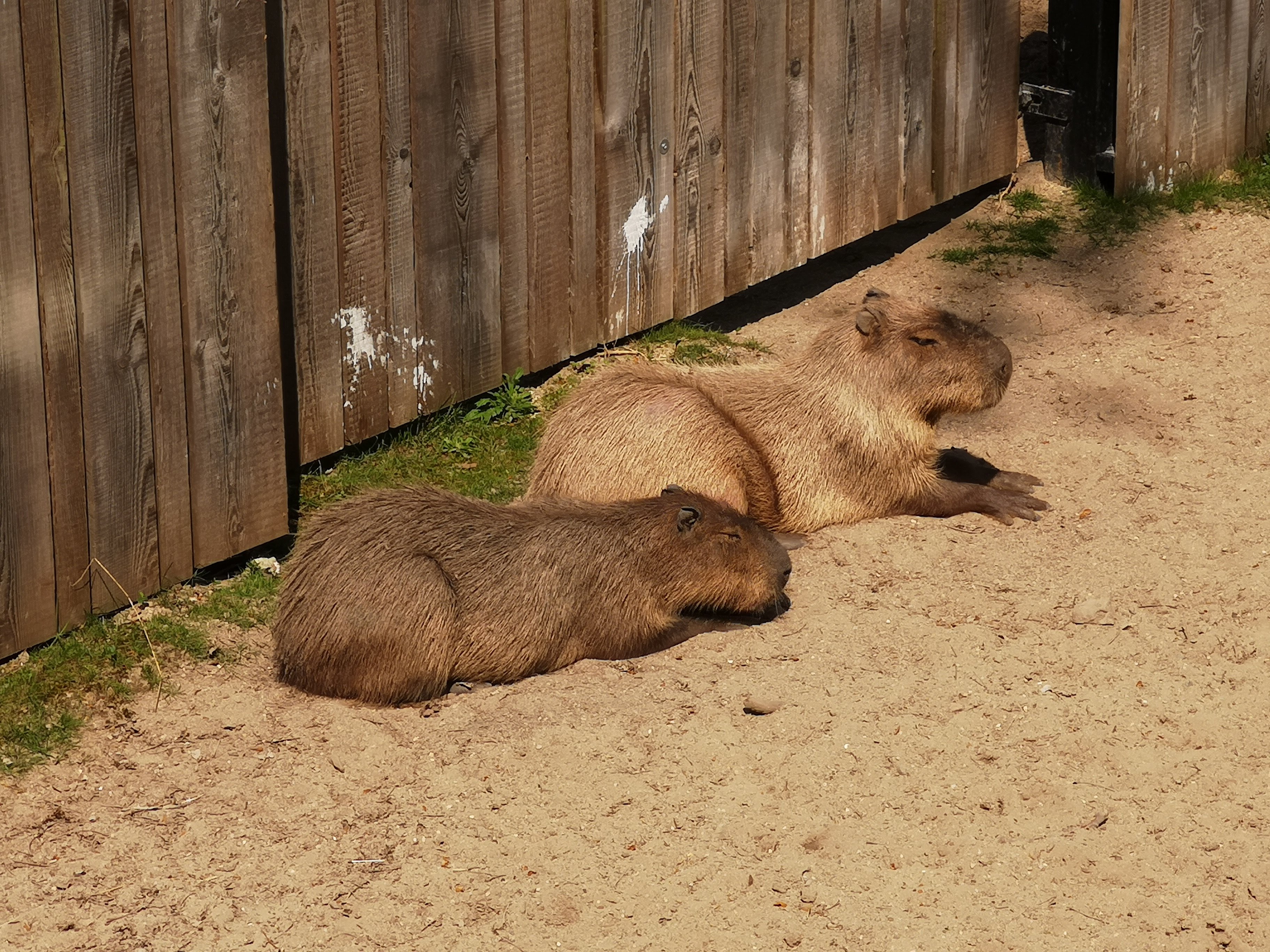 Photo n° 4 de l'avis de Bryan.r fait le 24/04/2018 à 19:19