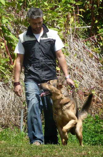 Urancán - Adiestramiento y Educación Canina en Sevilla