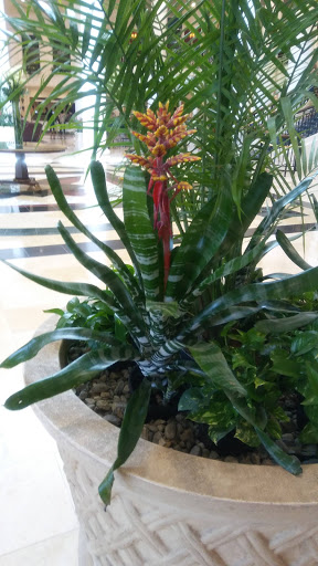 Racecourse «Dover International Speedway», reviews and photos, 1131 N Dupont Hwy, Dover, DE 19901, USA