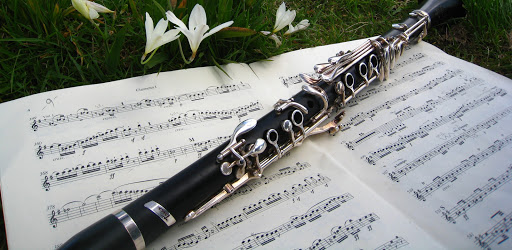 Rowan Meade: Clarinet/Saxophone Lessons
