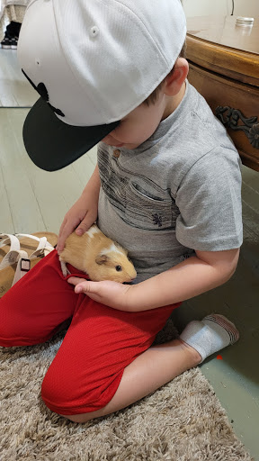 Pet Supply Store «Pet Supplies Plus», reviews and photos, 2410 Augusta Rd, West Columbia, SC 29169, USA