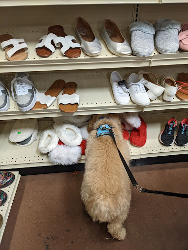 Thrift Store «Goodwill - Rock Hill», reviews and photos