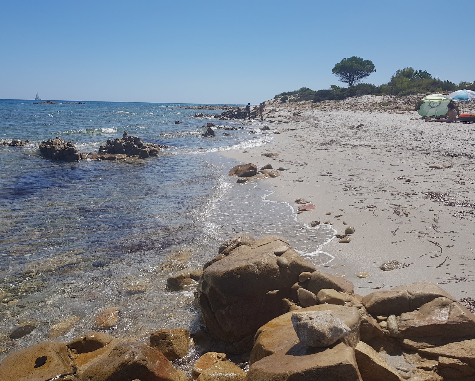 Photo de Riserva Bidderosa avec l'eau cristalline de surface