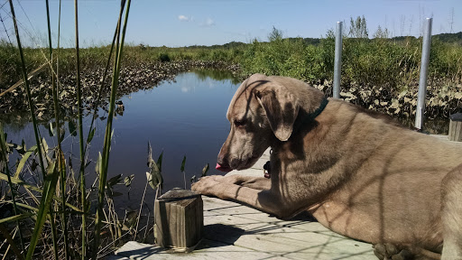 Nature Preserve «Jug Bay Wetlands Sanctuary», reviews and photos, 1361 Wrighton Rd, Lothian, MD 20711, USA
