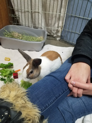 Pet Supply Store «Mounds Pet Food Warehouse», reviews and photos, 2110 S Stoughton Rd, Madison, WI 53716, USA