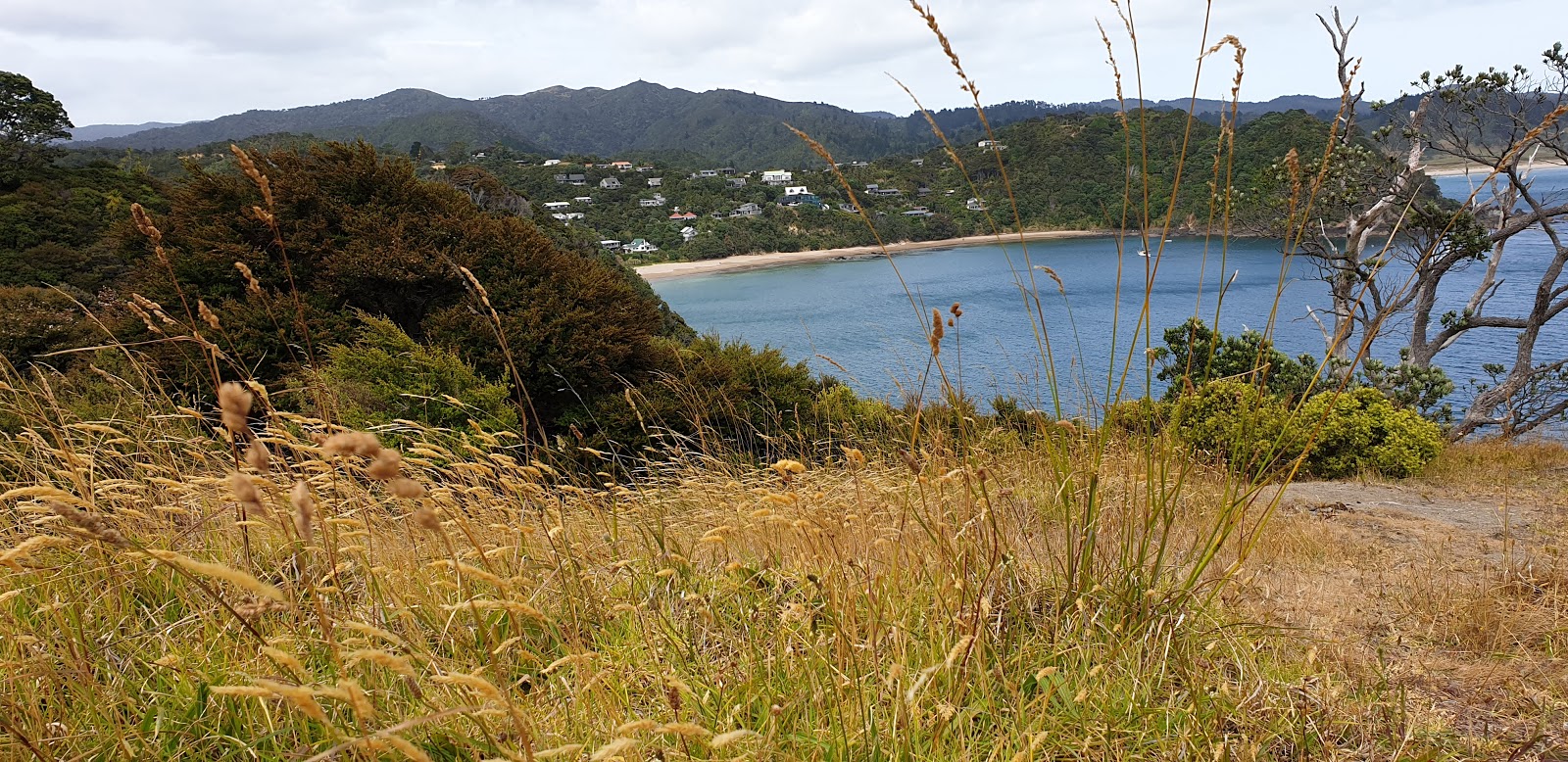 Foto von Little Bay Beach und die siedlung