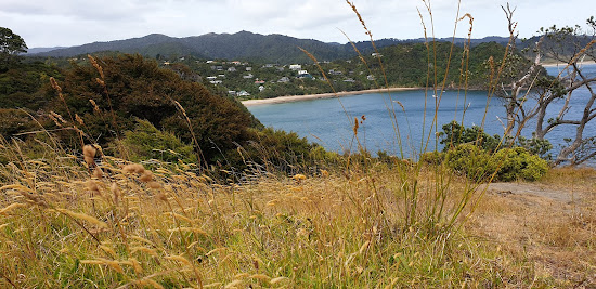 Little Bay Beach