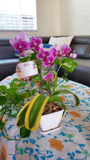 Florist «Melody Flowers», reviews and photos, 14520 Brookhurst St, Westminster, CA 92683, USA