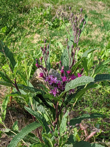 Golf Course «Wicked Woods Golf Club», reviews and photos, 14085 Ravenna Rd, Newbury Township, OH 44065, USA