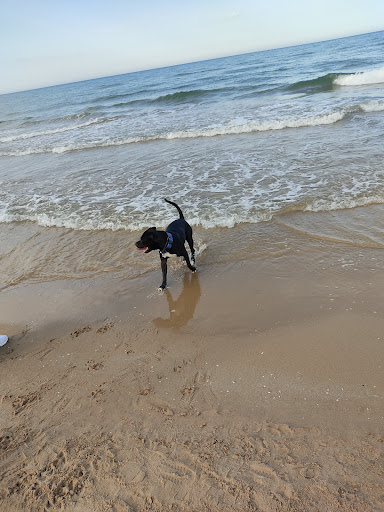 Centro Veterinario García Noblejas en Madrid