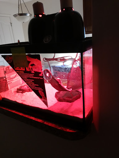 Pet Supply Store «PetSmart», reviews and photos, 2061 Skibo Rd, Fayetteville, NC 28314, USA