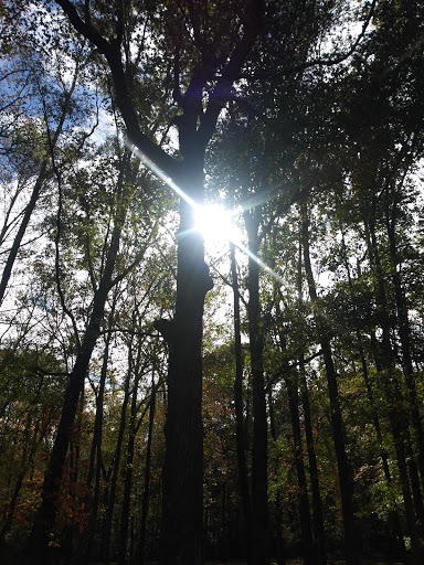 Park «Bouldercrest Park», reviews and photos, 4184 Bouldercrest Park Rd, Ellenwood, GA 30294, USA