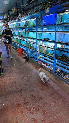 Aquarium «Pacific Aquarium & Plant Inc», reviews and photos, 46 Delancey St #1, New York, NY 10002, USA