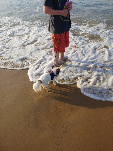 Theme Park «Atlantic Beach Park», reviews and photos, 321 Atlantic Ave, Westerly, RI 02891, USA