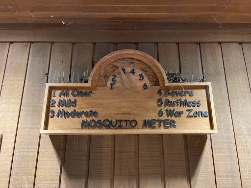 National Park «Congaree National Park», reviews and photos