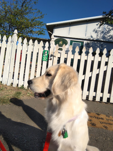 Country Club Kennels & Training