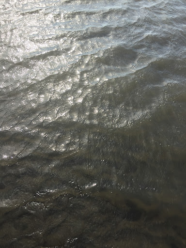 Top 20 cửa hàng play Huyện Cần Giờ Hồ Chí Minh 2022