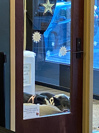 Movie Theater «Capitol II Theatre», reviews and photos, 116 1st St N, Newton, IA 50208, USA