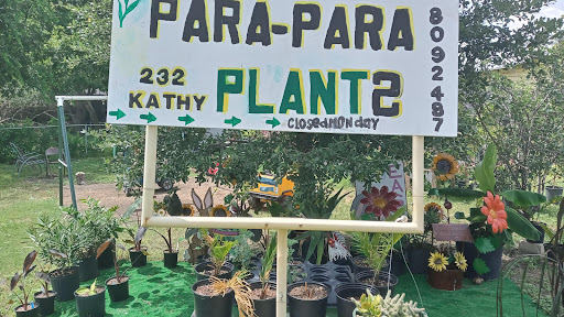 Para Para plants