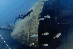 Bonaire Freediving School NV image