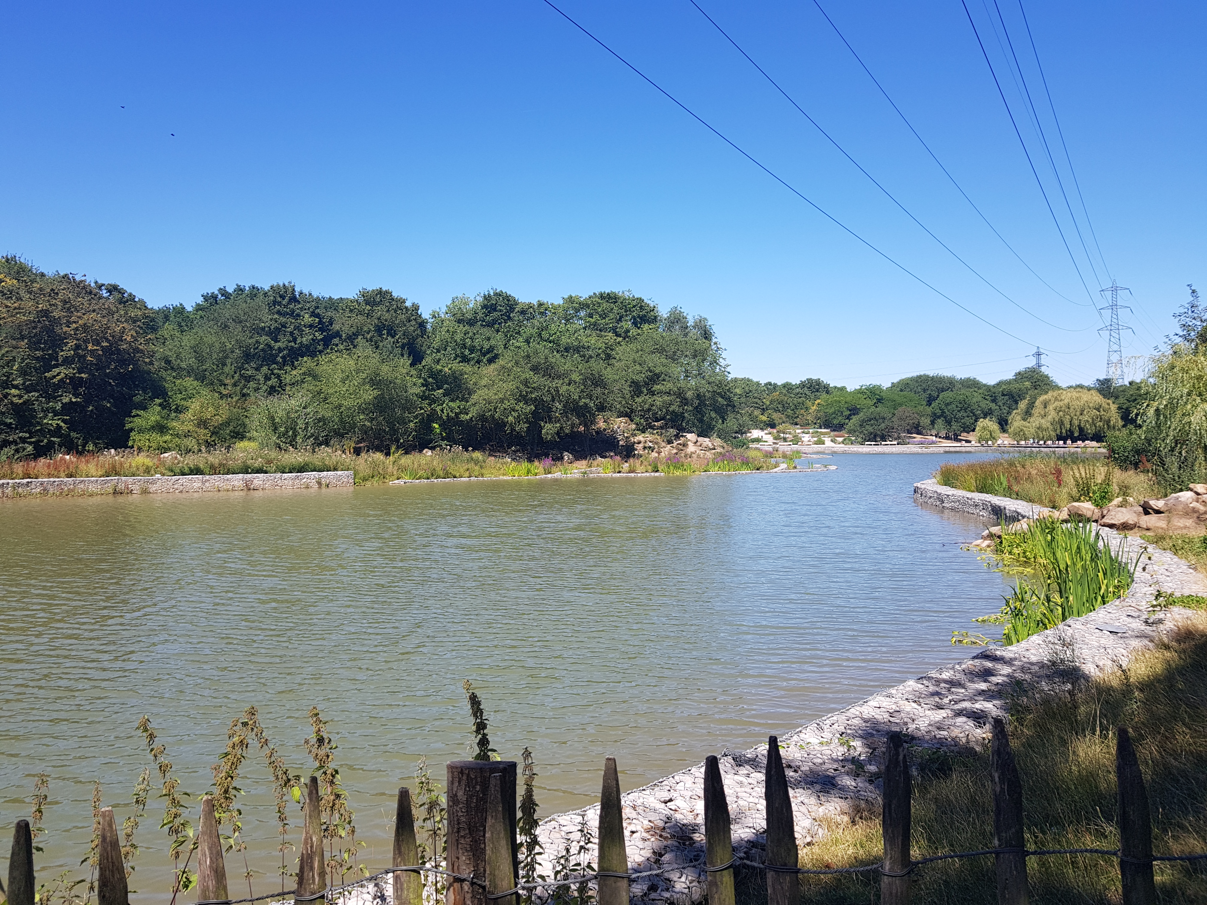 Photo n° 19 de l'avis de MATHIOT.Y fait le 29/07/2022 à 16:06