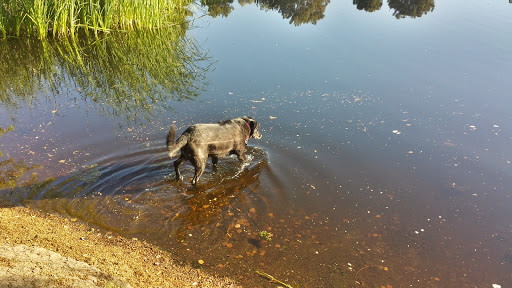 Golf Course «Stonecreek Golf Club», reviews and photos, 4435 E Paradise Village Pkwy S, Phoenix, AZ 85032, USA