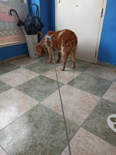 Clínica Veterinaria Los Almendros en Huétor Vega