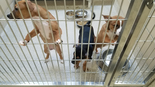 Northeast Animal Shelter