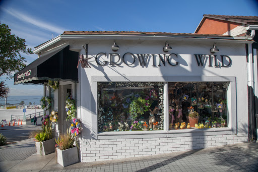 Florist «Growing Wild», reviews and photos, 1201 Highland Ave, Manhattan Beach, CA 90266, USA