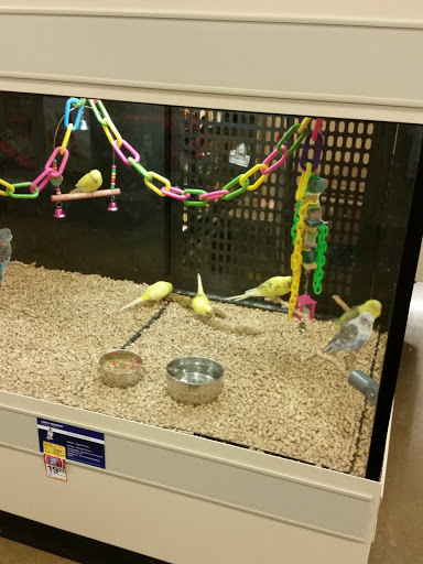 Pet Supply Store «PetSmart», reviews and photos, 2940 Chapel Hill Rd, Douglasville, GA 30135, USA