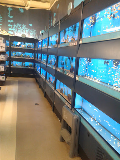 Pet Supply Store «Petco Animal Supplies», reviews and photos, 13 Welles St, Glastonbury, CT 06033, USA