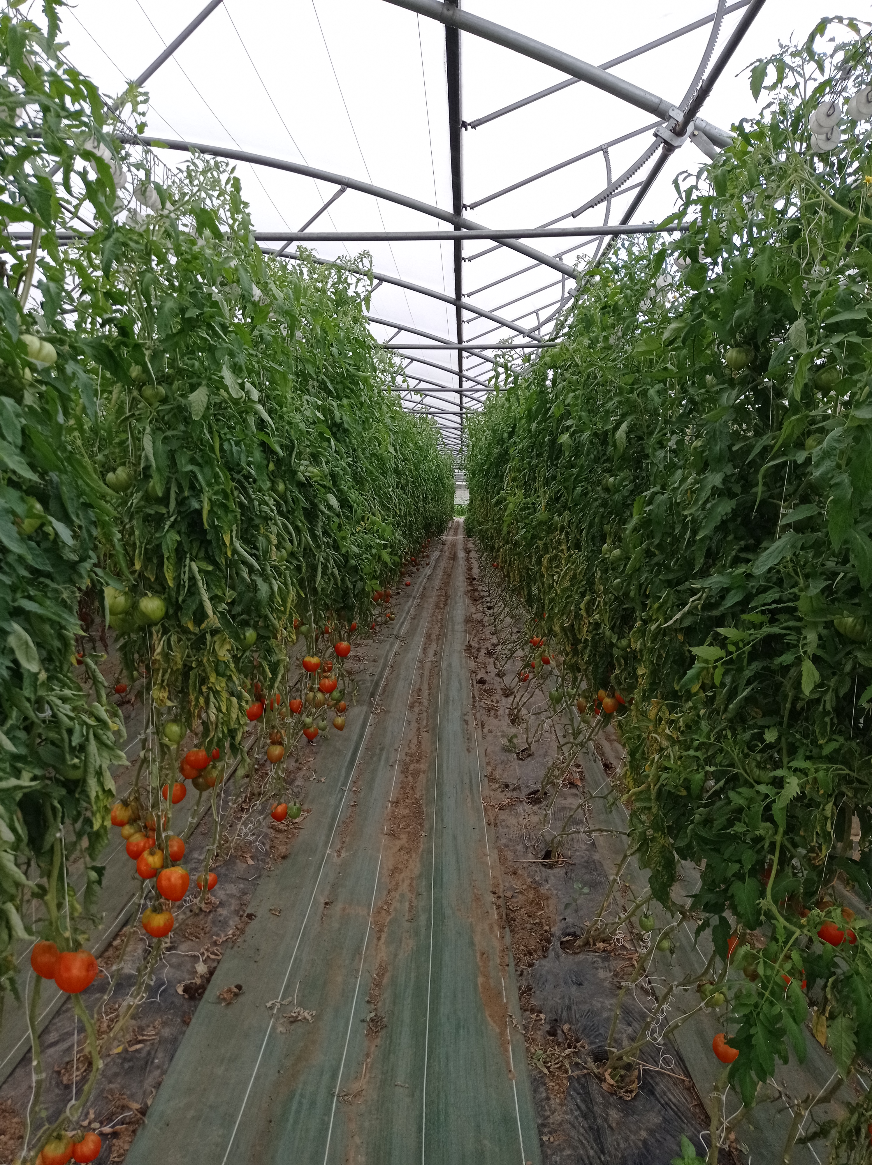 Photo n° 19 de l'avis de alexandre.u fait le 27/08/2023 à 13:21