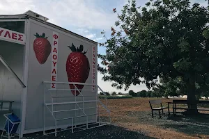 STRAWBERRY AND FRUIT SHOP image