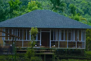 Tea Forest Resort image