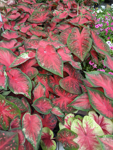 Home Improvement Store «The Home Depot», reviews and photos, 1200 Nixon Dr, Mt Laurel, NJ 08054, USA