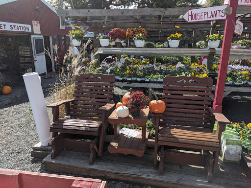 Garden Center «Nalls Produce», reviews and photos, 7310 Beulah St, Alexandria, VA 22315, USA